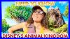 30_Disney_World_Tips_You_Must_Have_In_Animal_Kingdom_01_et