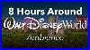 8_Hours_Around_Walt_Disney_World_Park_Ambience_Background_Park_Area_Ambience_01_hnf