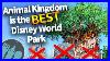 Animal_Kingdom_Is_The_Best_Disney_World_Park_01_ro