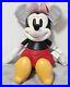 Coach_Disney_Parks_2022_50th_Anniversary_Minnie_Mouse_Leather_Plush_New_withTags_01_pvsm