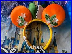 Disney Parks 2020 EPCOT Flower And Garden Festival Orange Bird Minnie Ears