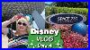 Disney_World_Vlog_May_2022_Epcot_And_Space_220_Restaurant_Episode_5_01_wu