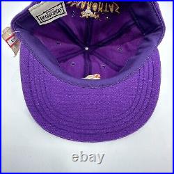 Vintage 90s Walt Disney's Pocahontas Park Exclusive Hat Cap Purple With Tag