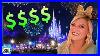 Watching_Fireworks_The_Expensive_Way_In_Disney_World_01_nn